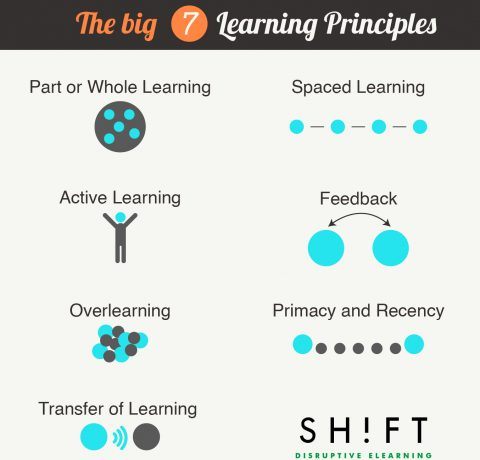 7 Learning Principles To Create Online Courses Infographic