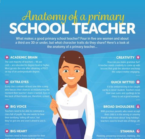 The Anatomy of a Primary School Teacher Infographic