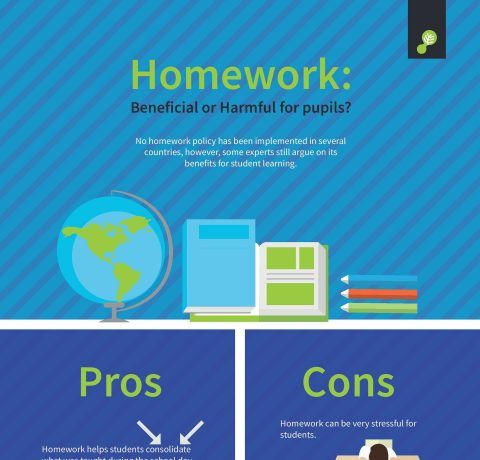 Pros and Cons of Homework Infographic