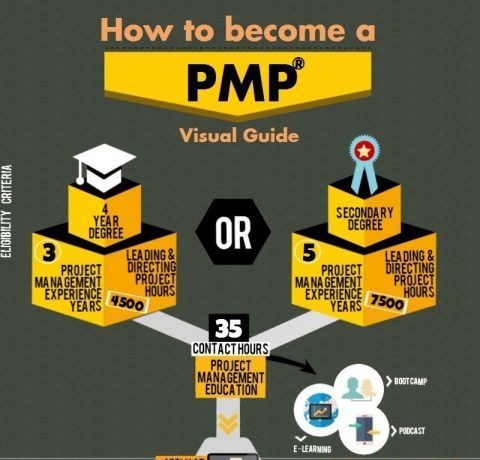 How to Become a Project Management Professional Infographic