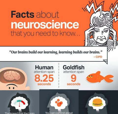 How to Integrate Neuroscience into Your eLearning Infographic