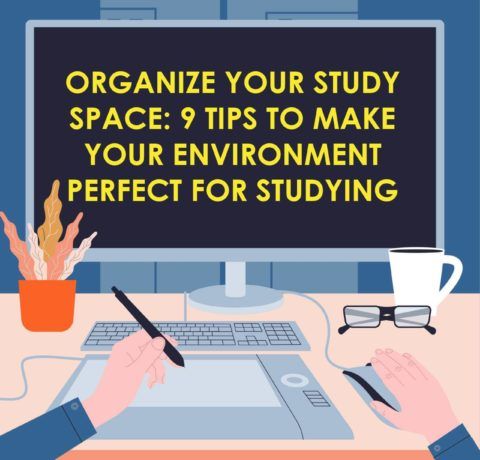 Organize Your Study Space: 9 Tips to Make Your Environment Perfect for Studying