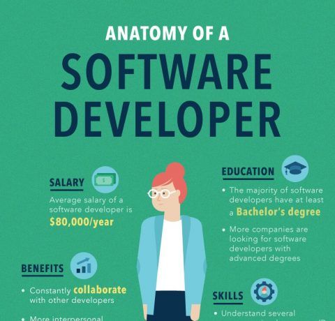 Anatomy Of A Software Developer Infographic