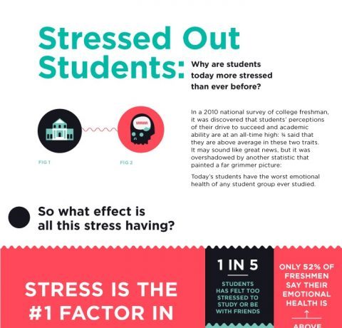 The Stressed Out Students Infographic