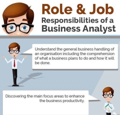 What Are The Role And Job Responsibilities Of A Business Analyst Infographic