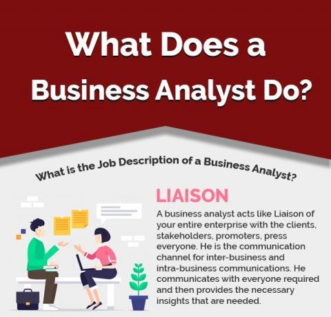 What Does A Business Analyst Do? Infographic