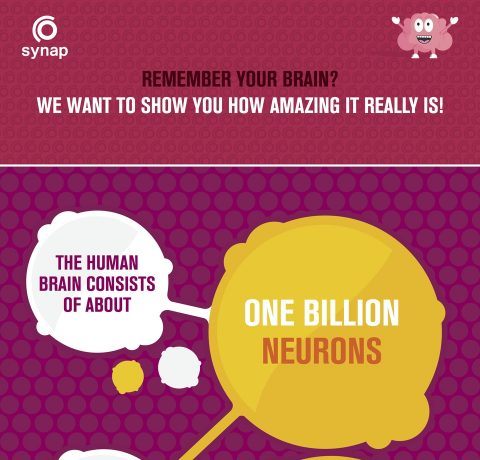 Your Amazing Memory Infographic