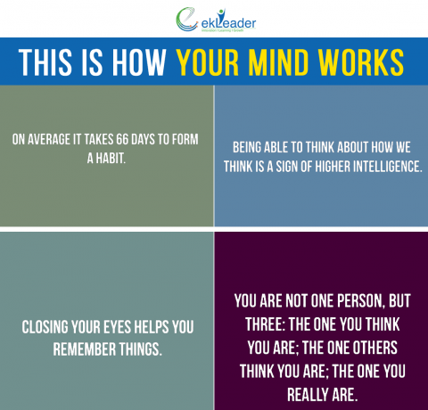 How Our Minds Work Infographic