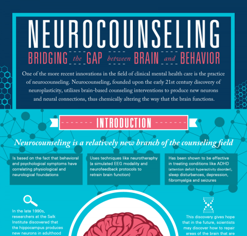 Neurocounseling: Bridging the Gap between Brain and Behavior Infographic